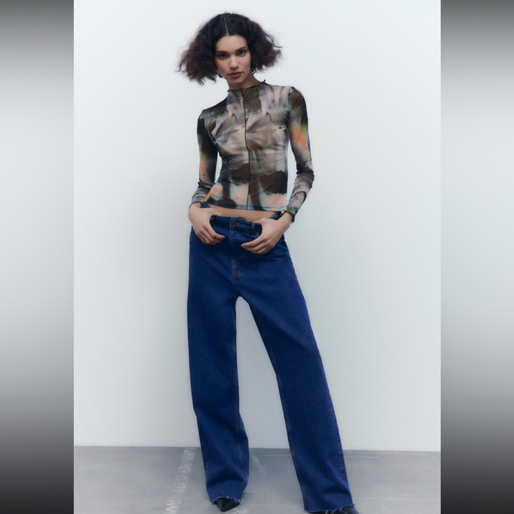 Zara mesh long sleeve top NWT